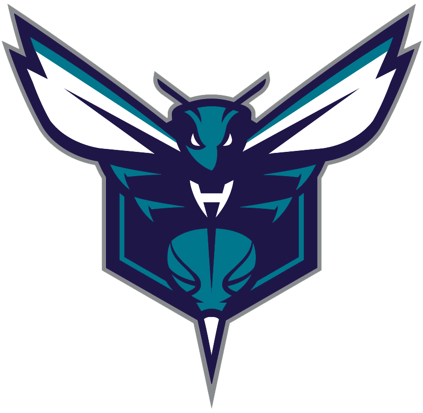 Charlotte Hornets 2014-Pres Alternate Logo iron on transfers for clothing version 2